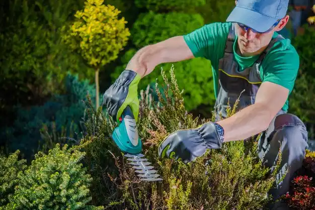 landscaping services Richville